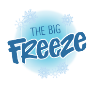 The Big Freeze Festival