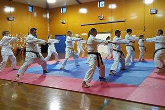 karate-group
